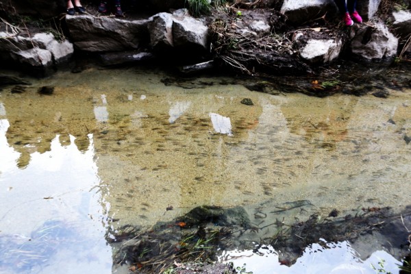 a23569f4df960437a44c23dc5e329de0_1469597