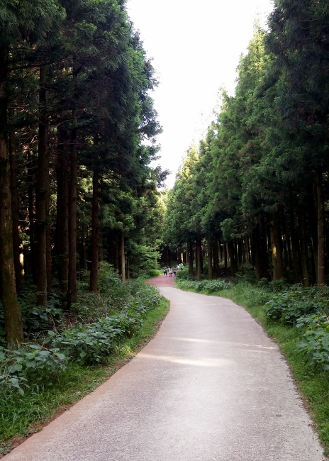 22e0602d936fe0599dc46af77a1e4245_1471017