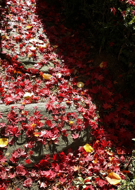 22e0602d936fe0599dc46af77a1e4245_1471017