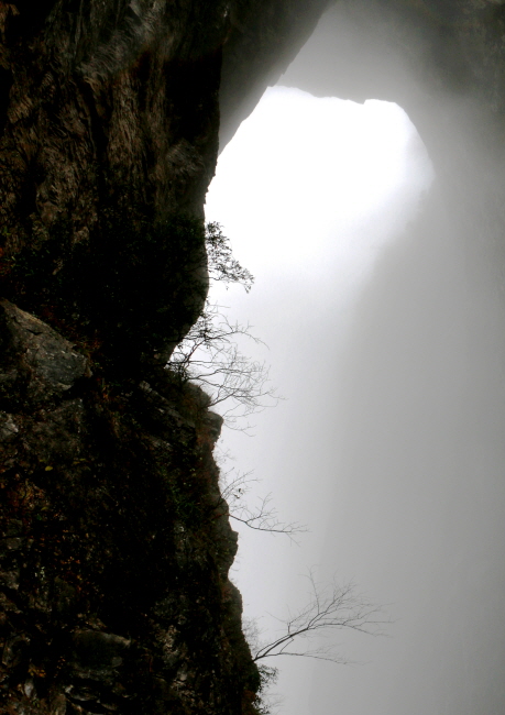 2a4665ba042ed56971ab9bf2240c625c_1471015