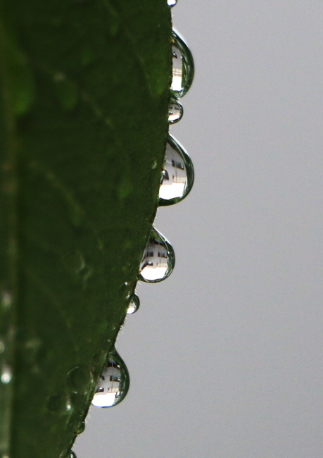 2a4665ba042ed56971ab9bf2240c625c_1471015