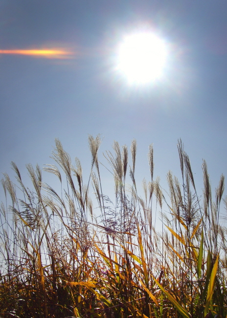 2a4665ba042ed56971ab9bf2240c625c_1471016