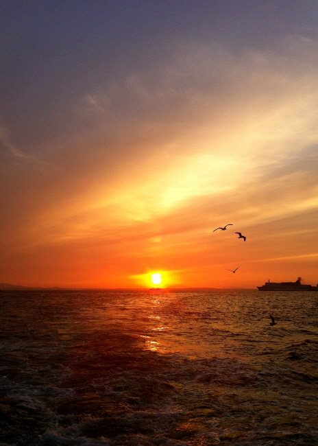 ff038da0e2b11c2bb4db47c53ea7190e_1471016