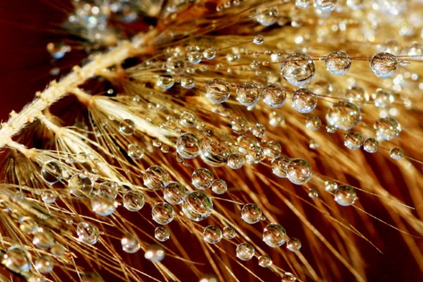 2a4665ba042ed56971ab9bf2240c625c_1471015