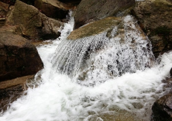 2a4665ba042ed56971ab9bf2240c625c_1471015